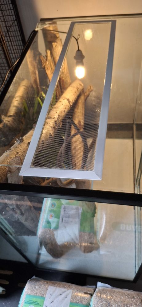 Terrarium en verre xxl 400 91120 Palaiseau