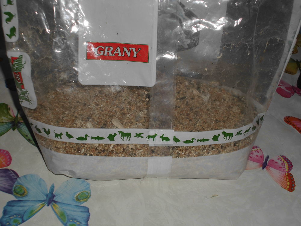 graines p&eacute;rruches 0 13140 Miramas