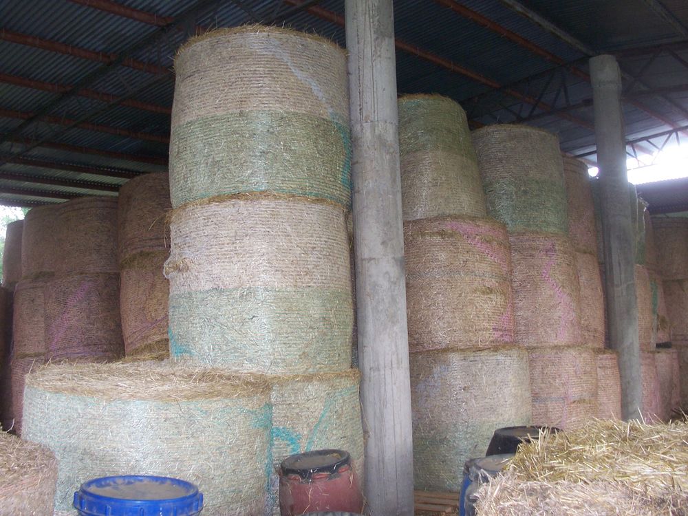 foin   balle   ronde 27 34200 S�te