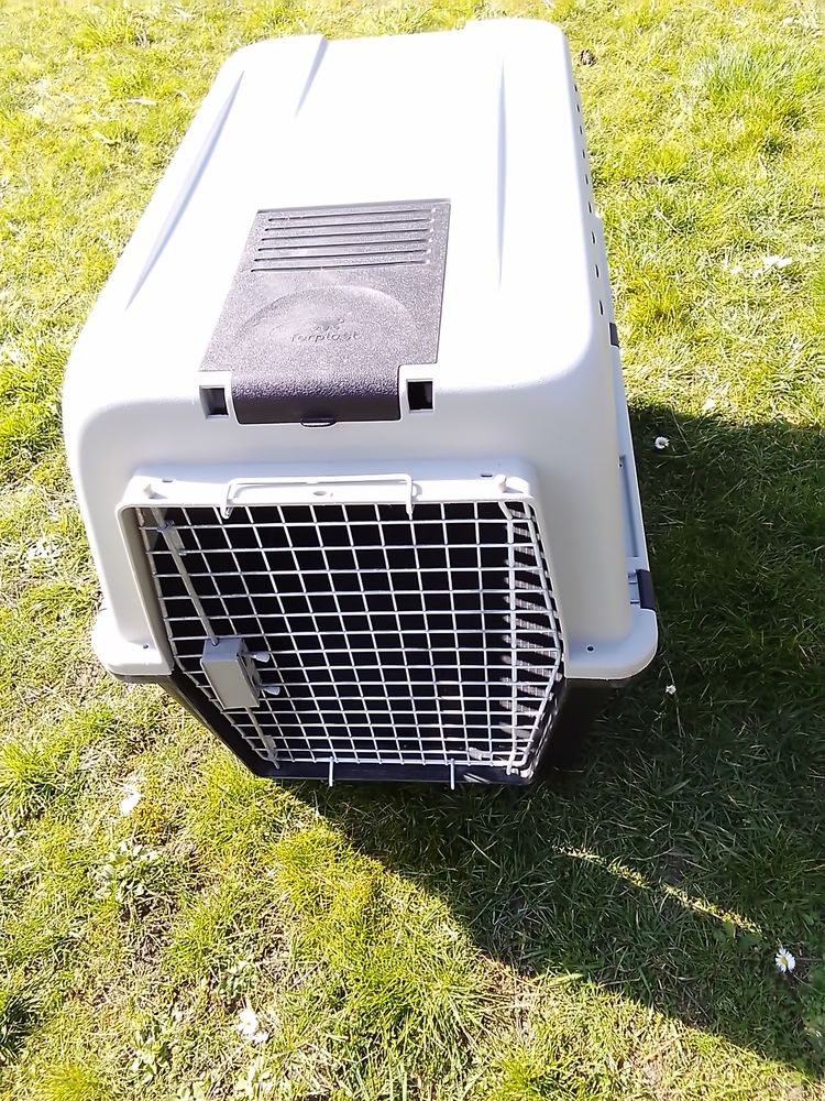 CAGE POUR CHIEN 65 59480 Illies