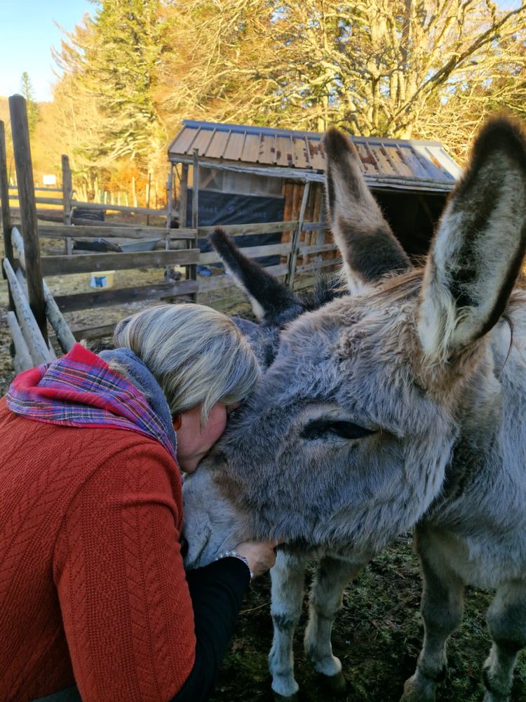 2 gentilles annesses  inseparables 2500 63240 Mont-dore