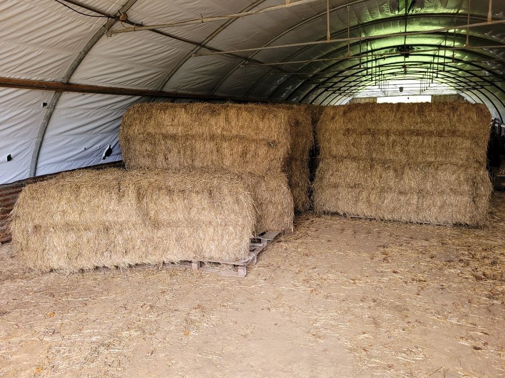 Foin 60 46600 Martel