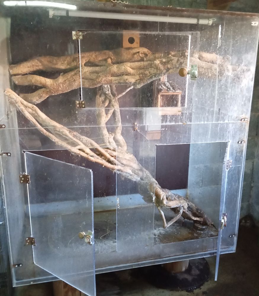 Terrarium , voli&egrave;re 200 29400 Guimiliau