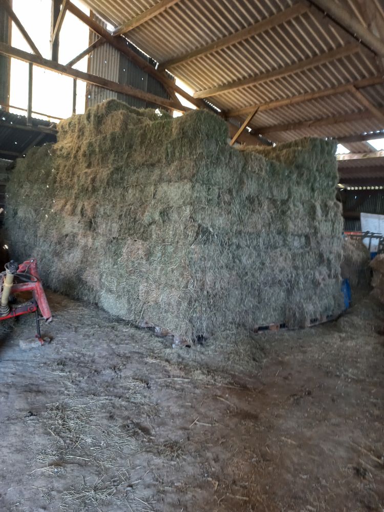 Foin 2 35640 Martign�-ferchaud