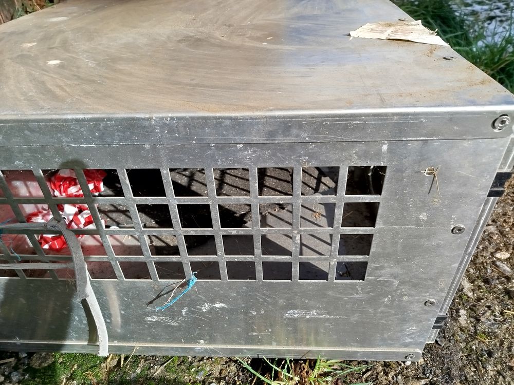 caisse &agrave; chien atemis 1000 19000 Tulle