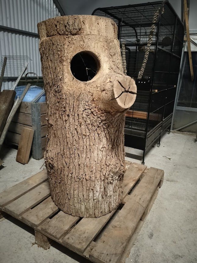 Nid tronc Ara 1 86540 Thur�