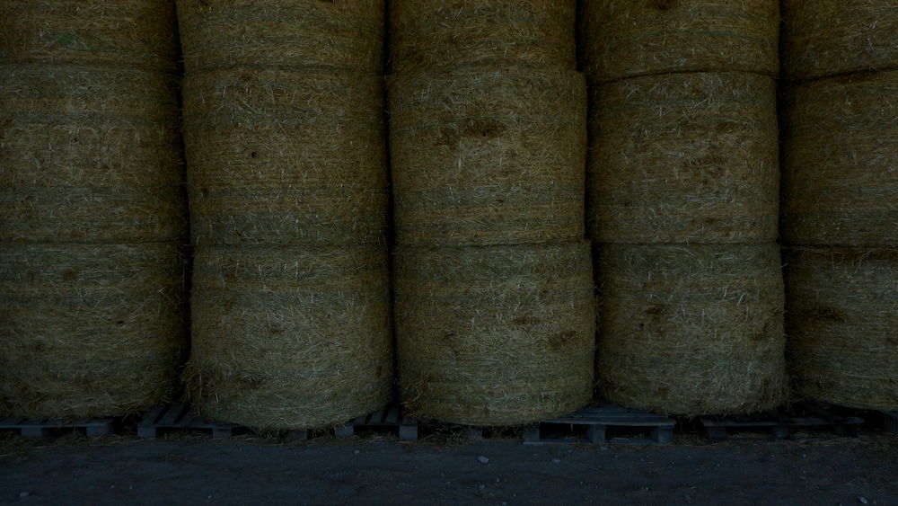 Paille  balles rondes 19 17120 Semussac