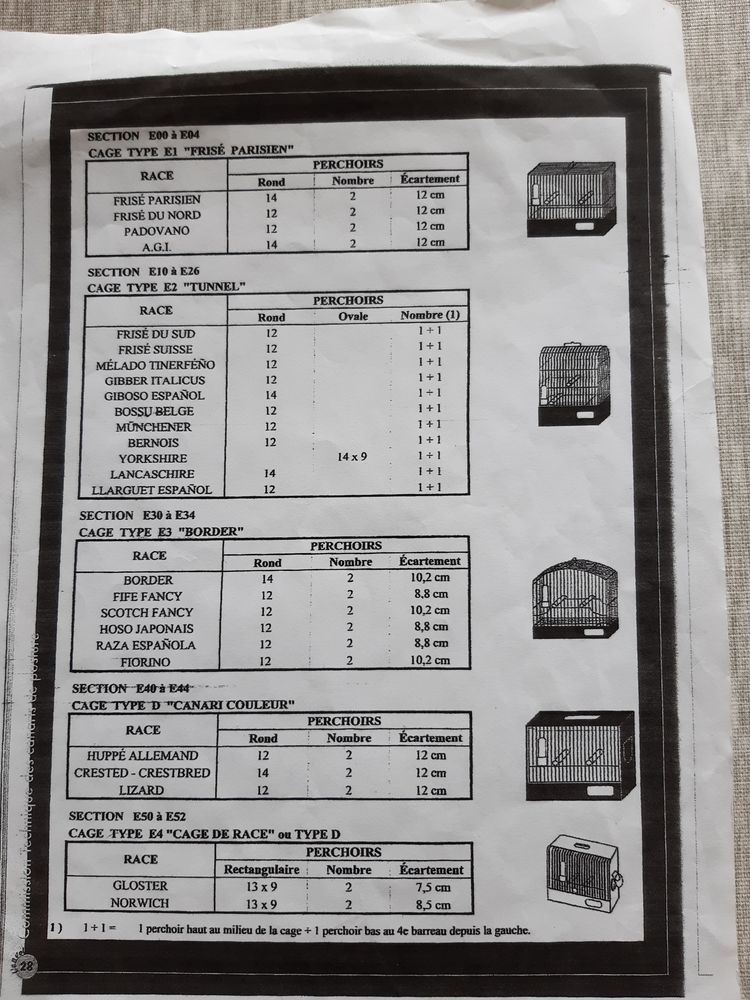 cages de concours pour gloster et canaris Fifes fanc 15 76280 Turretot