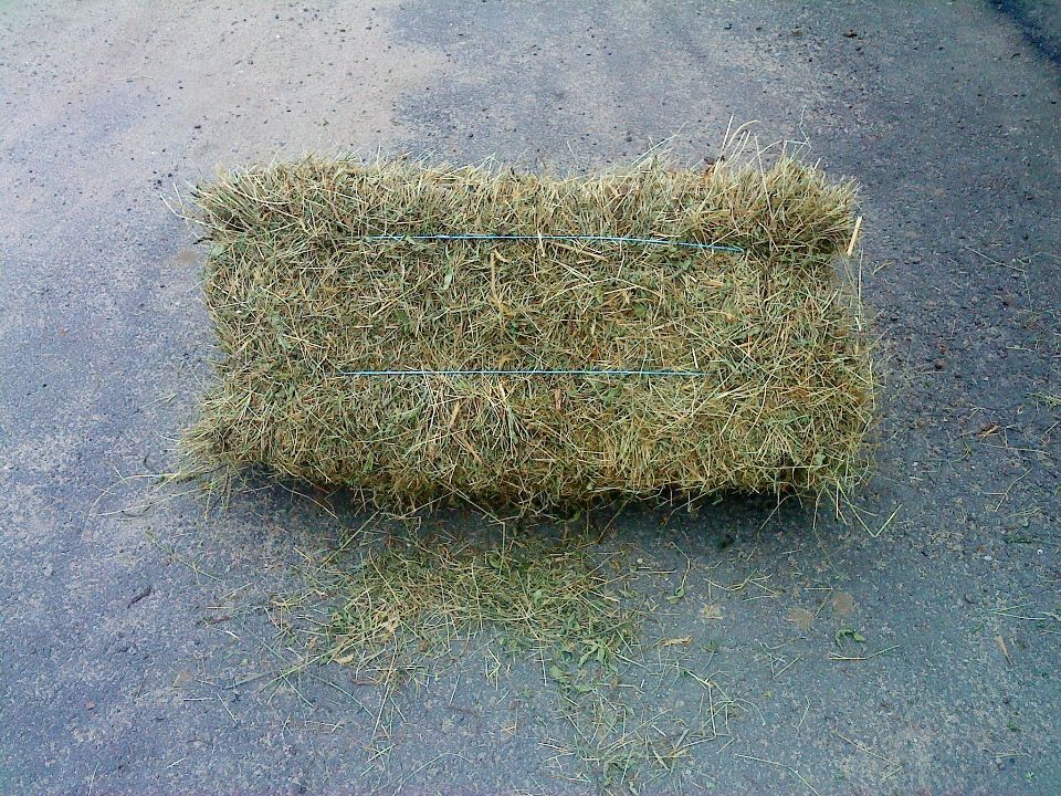 FOIN BALLOTS DE FOIN 2 07470 Coucouron