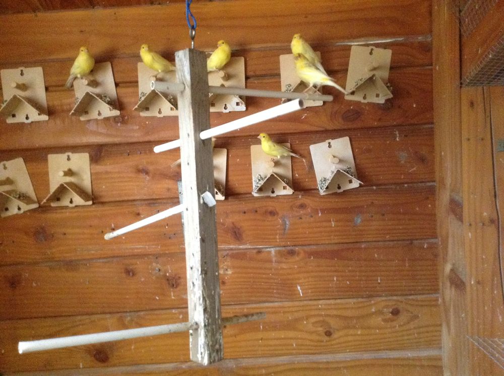 cages materiels 30 59770 Marly