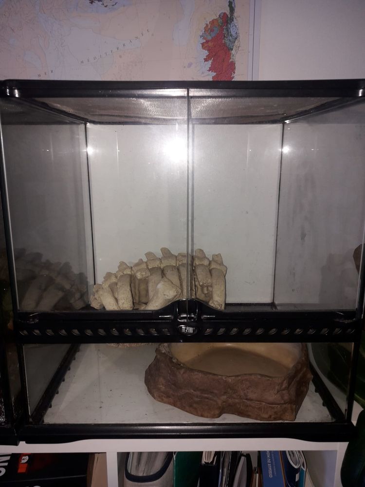 Terrarium exoterra 45*45*45 50 42000 Saint-�tienne