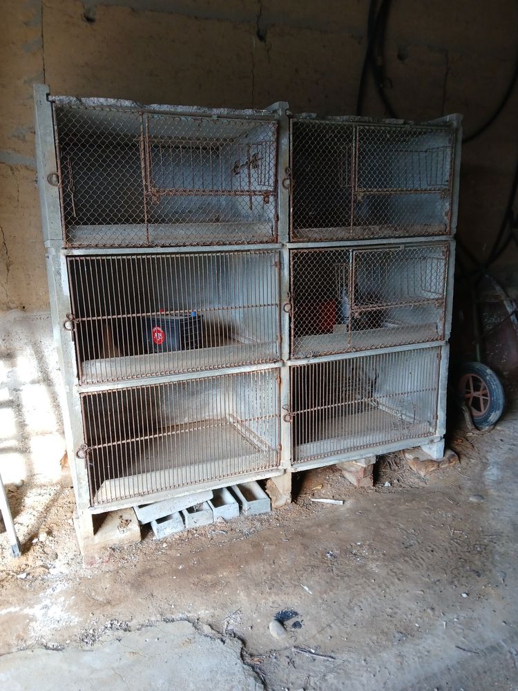 clapiers 100 38122 Saint-julien-de-l'herms