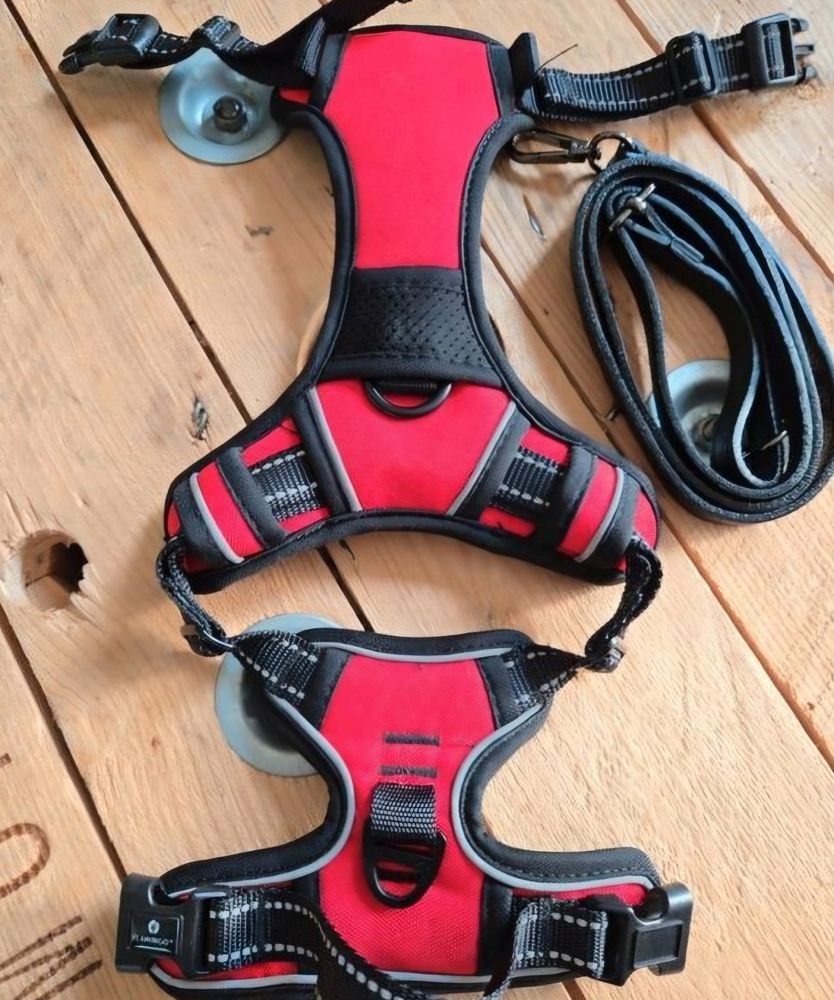 Harnais chien taille S NEUF 10 59200 Tourcoing