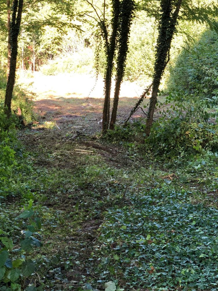 Pour animaux de ferme: PR&Ecirc;TE terrain 5000m2->52300 Joinville 0 52300 Suzannecourt