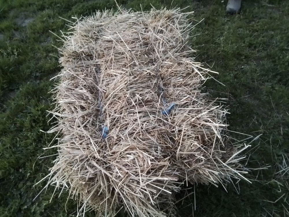 Foin 3 82400 Saint-vincent-lespinasse