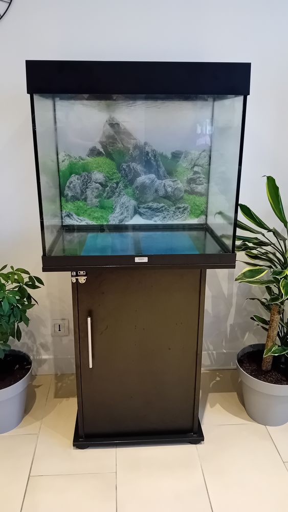 Aquarium Juwel 120 litres avec meuble noir 120 77190 Dammarie-les-lys