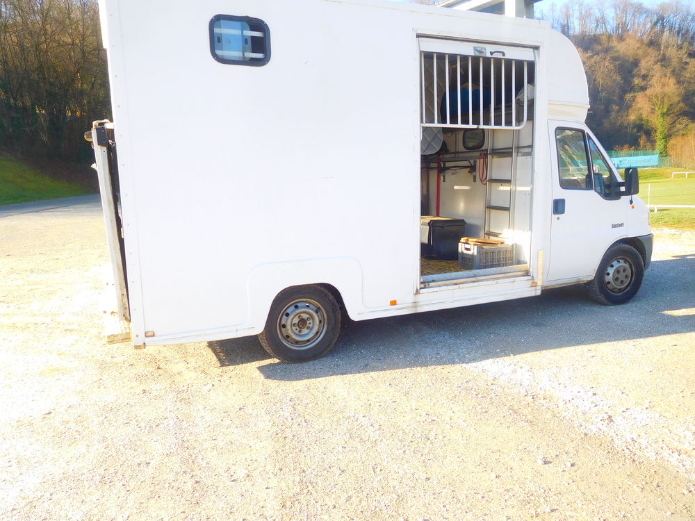 Transport de Chevaux 1 74150 Rumilly