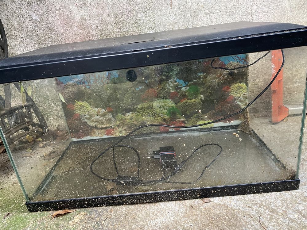 Aquarium 60x30x40 38 94800 Villejuif