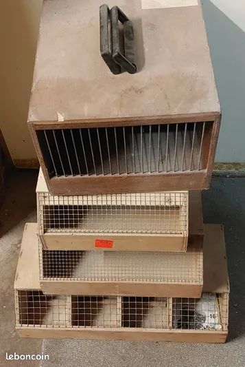Cageots de transports pour oiseaux 5 95200 Sarcelles