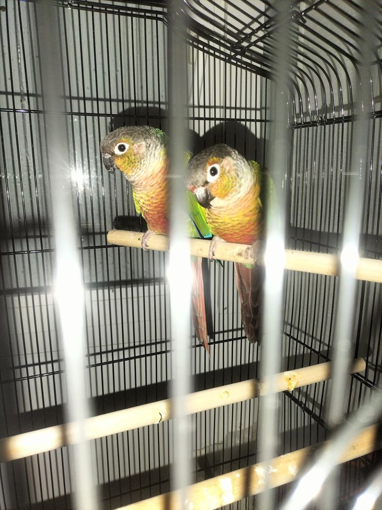 Connure 170 77230 Dammartin-en-go�le