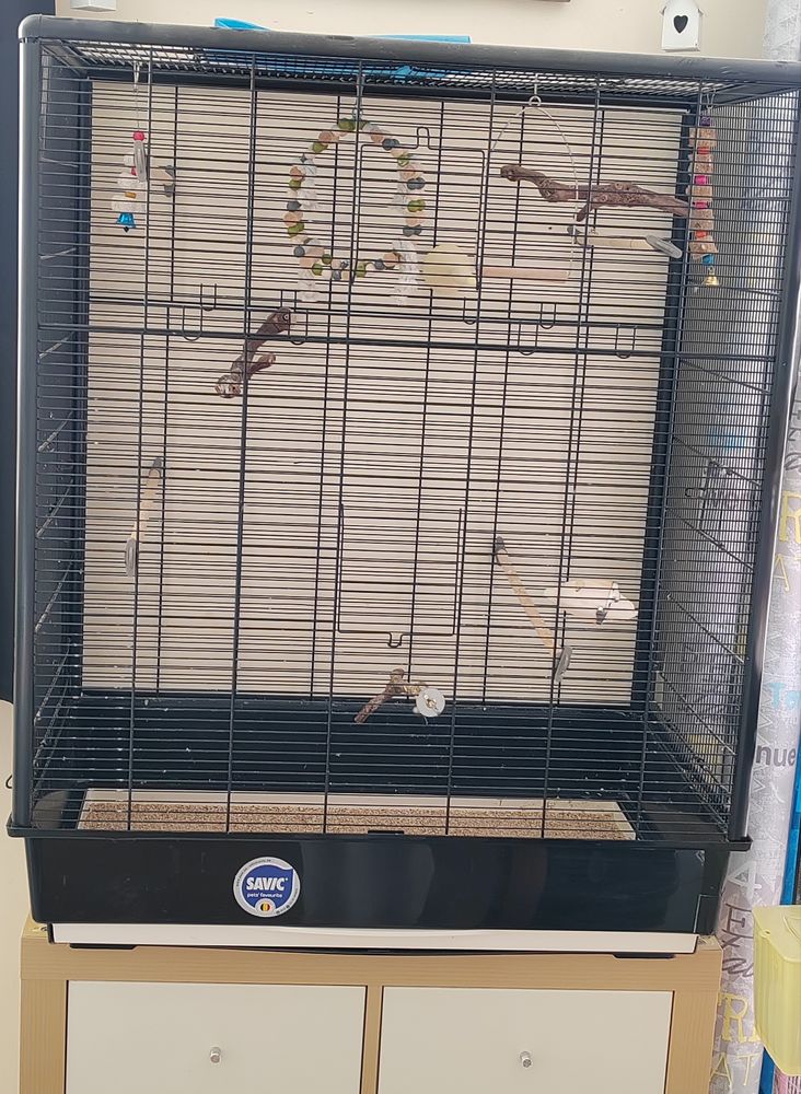 Grande cage oiseaux 50 29880 Plouguerneau