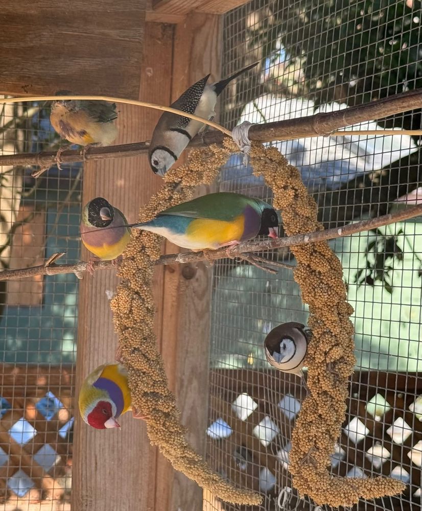 Gould 40 10000 Troyes