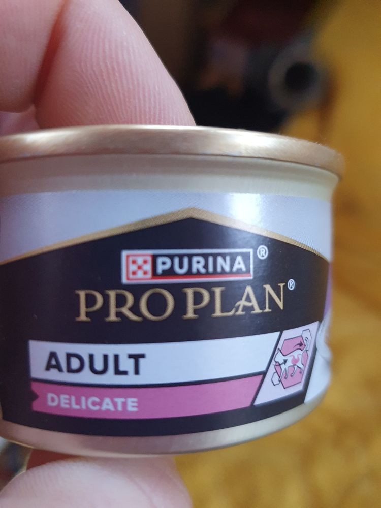 P&acirc;t&eacute;e/mousse pour chat - bo&icirc;tes neuves 50 29590 Le faou