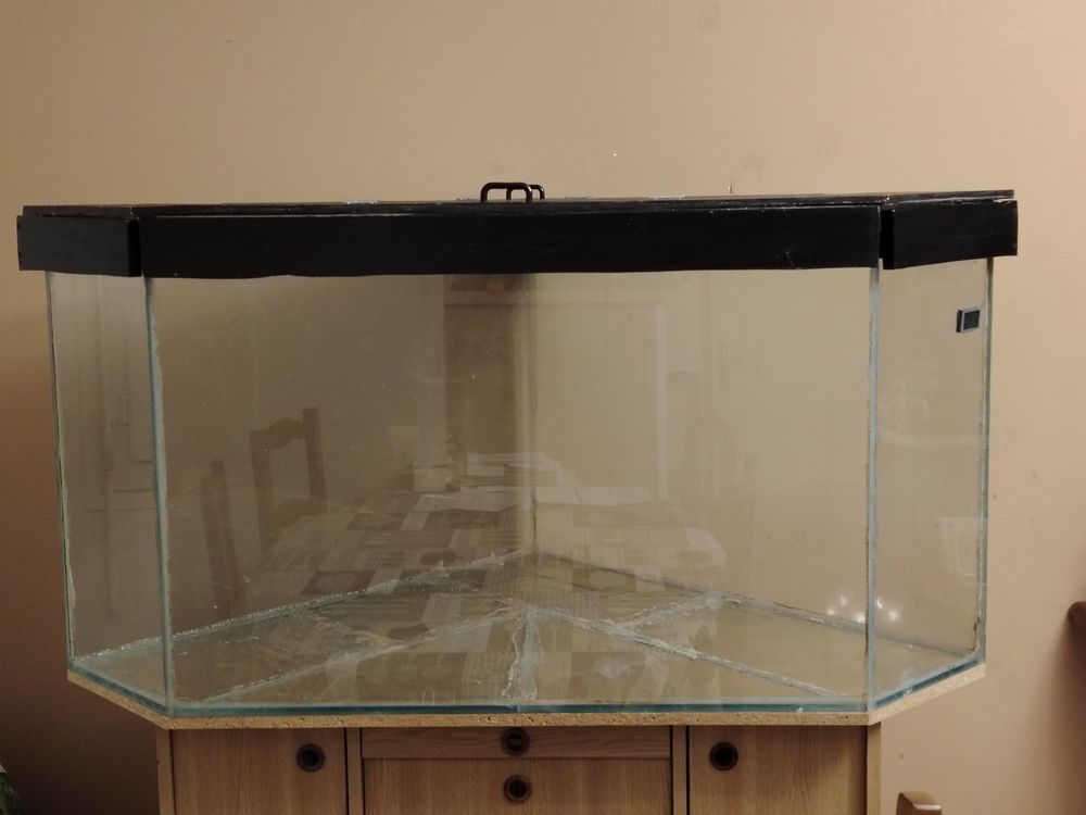 Aquarium sur mesure 300 49120 Chemill�