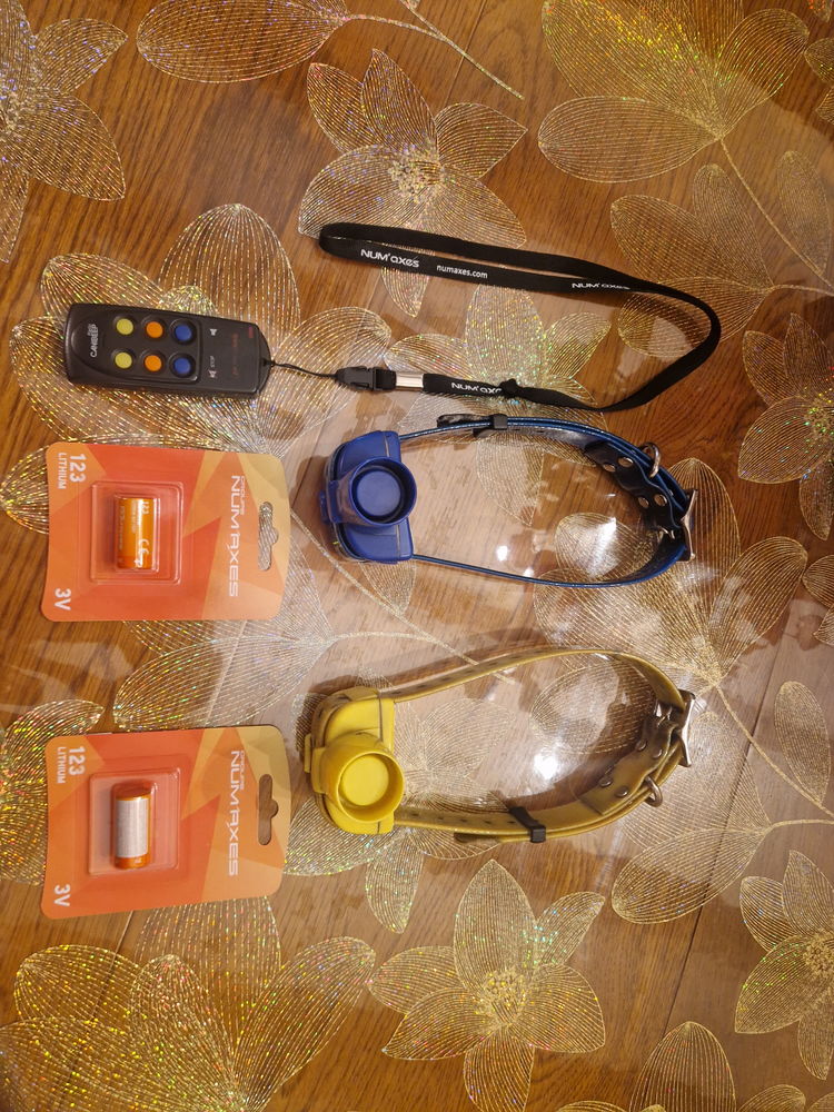 Collier de rep&eacute;rage 170 33380 Biganos