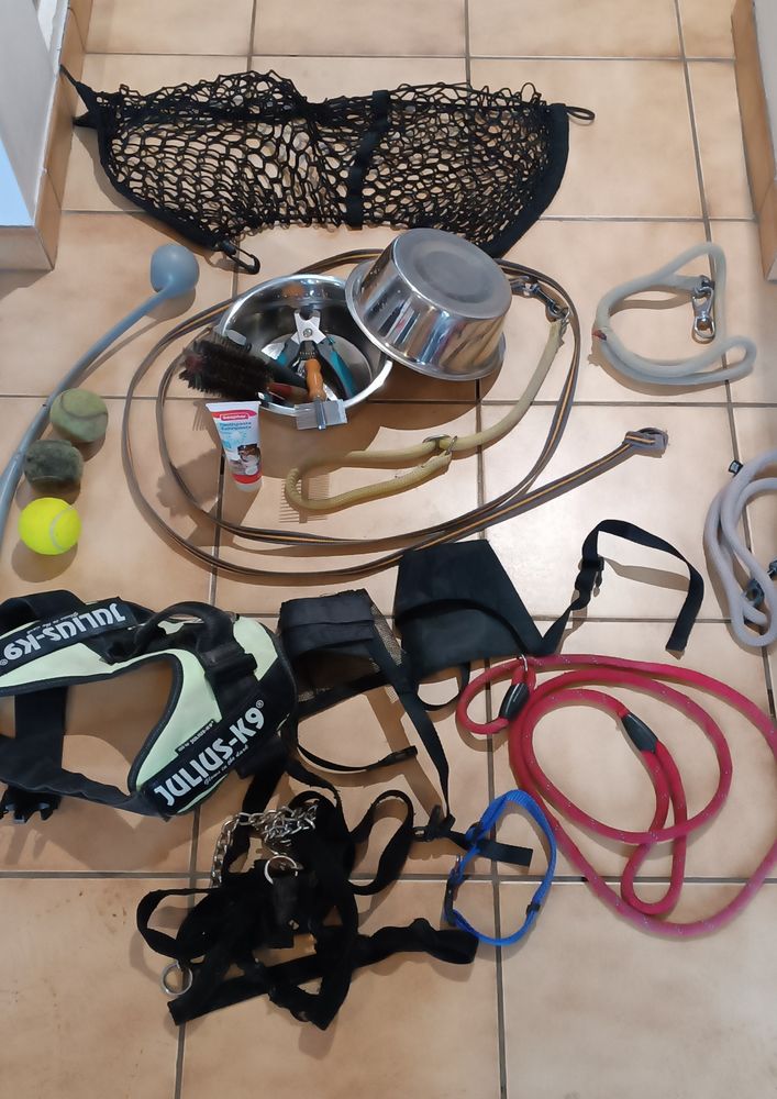 accessoires pour chien 20 95220 Herblay