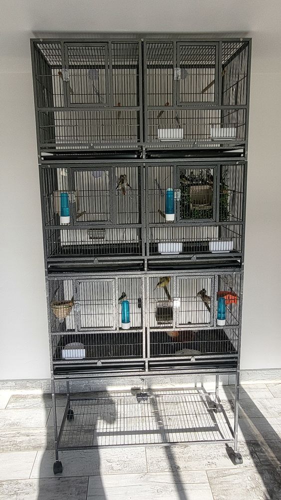 Batterie d &eacute;levage oiseaux 300 86430 Luchapt