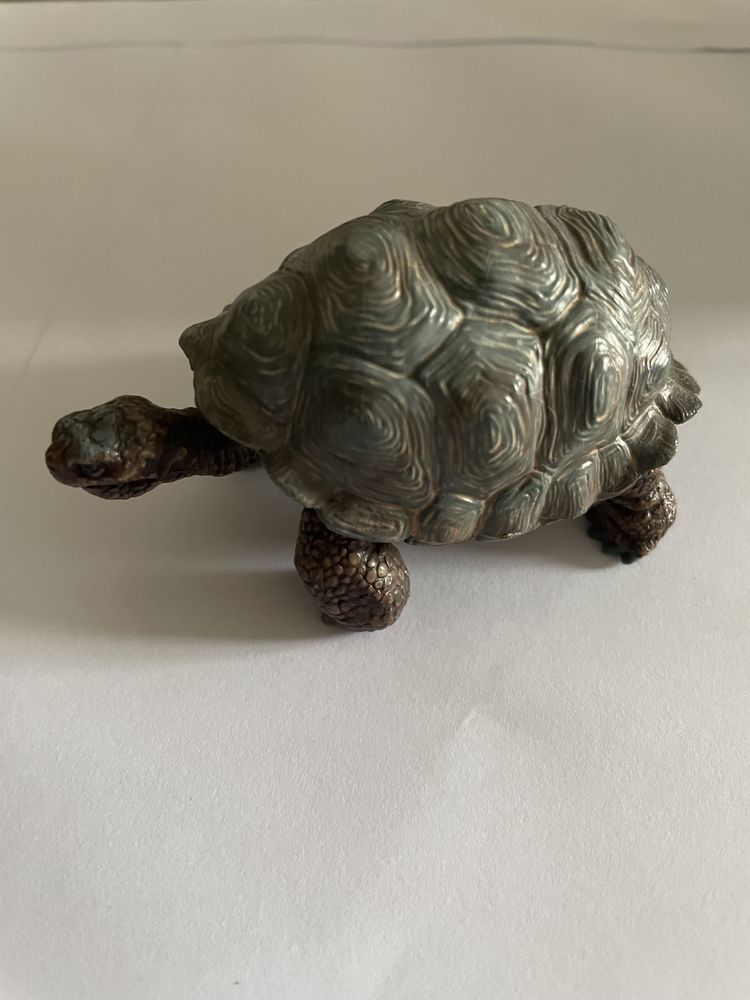 Tortue de terre 60 91150 �tampes