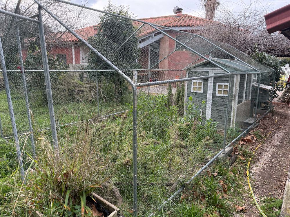 divers mat&eacute;riel pour poules. 100 66550 Corneilla-la-rivi�re