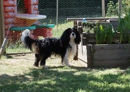 saillie 500 09700 Saverdun