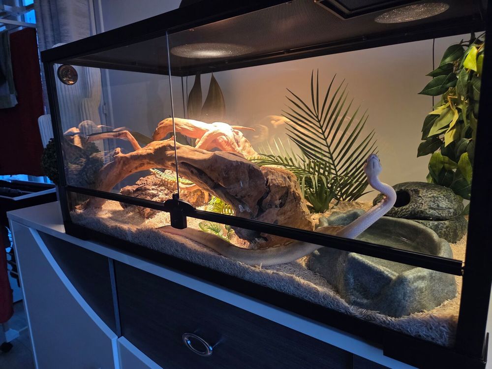 python royal Champagne 200 44600 Saint-nazaire