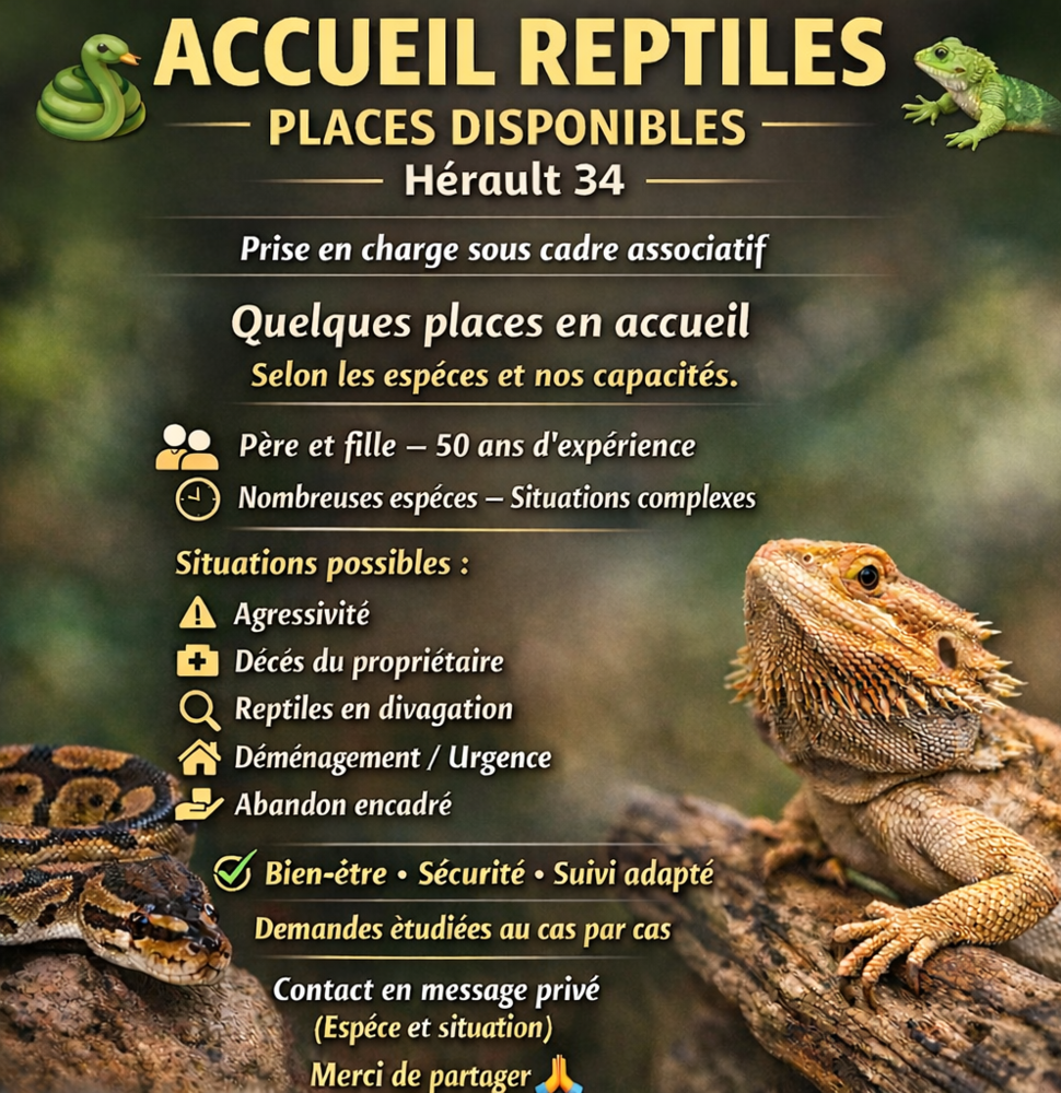 Sauvetages Reptiles 0 34750 Villeneuve-l�s-maguelone