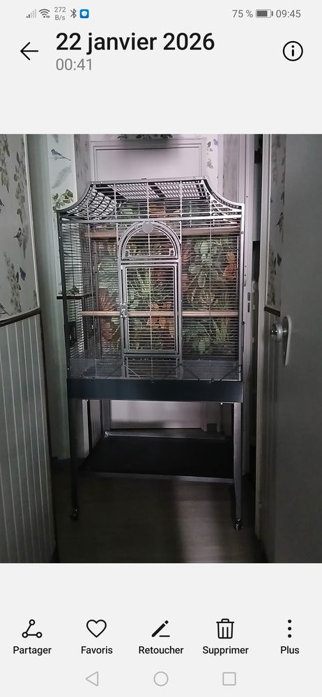 Cage Madeira 250 68100 Mulhouse