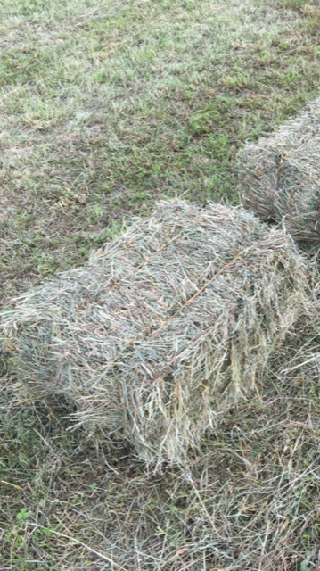 foin petites bottes 2 88220 Xertigny