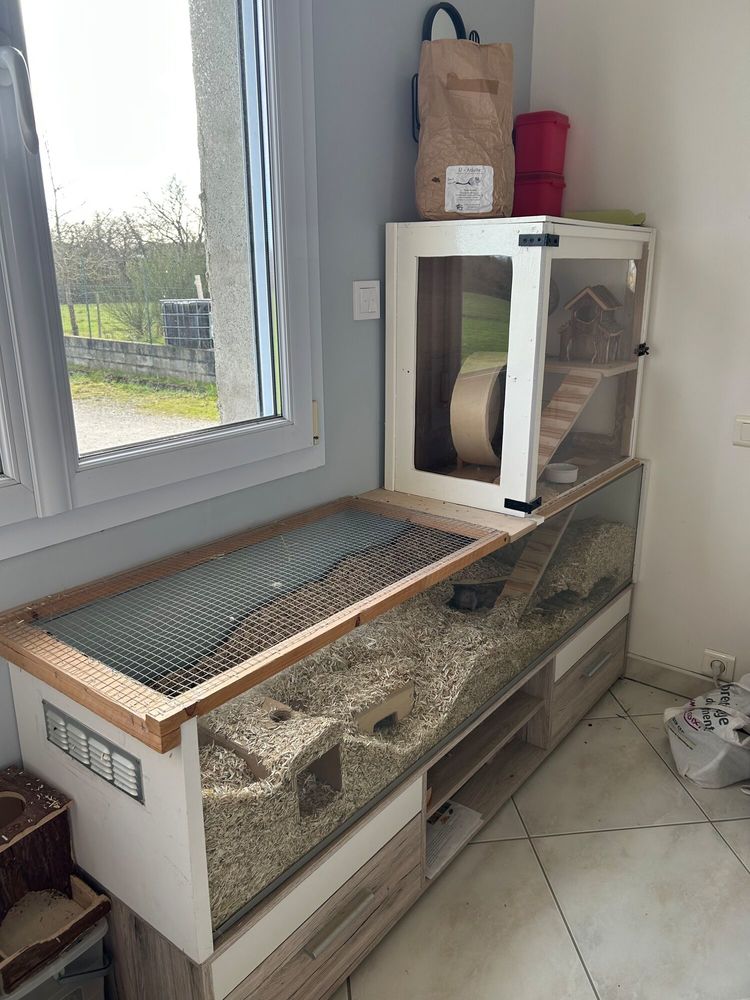 Grande cage avec meuble et gerbilles 100 44850 Le cellier