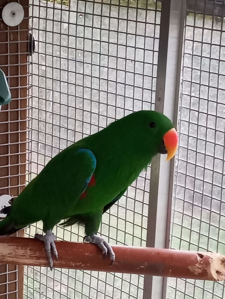 Recherche d'&eacute;change 0 49410 Le marillais