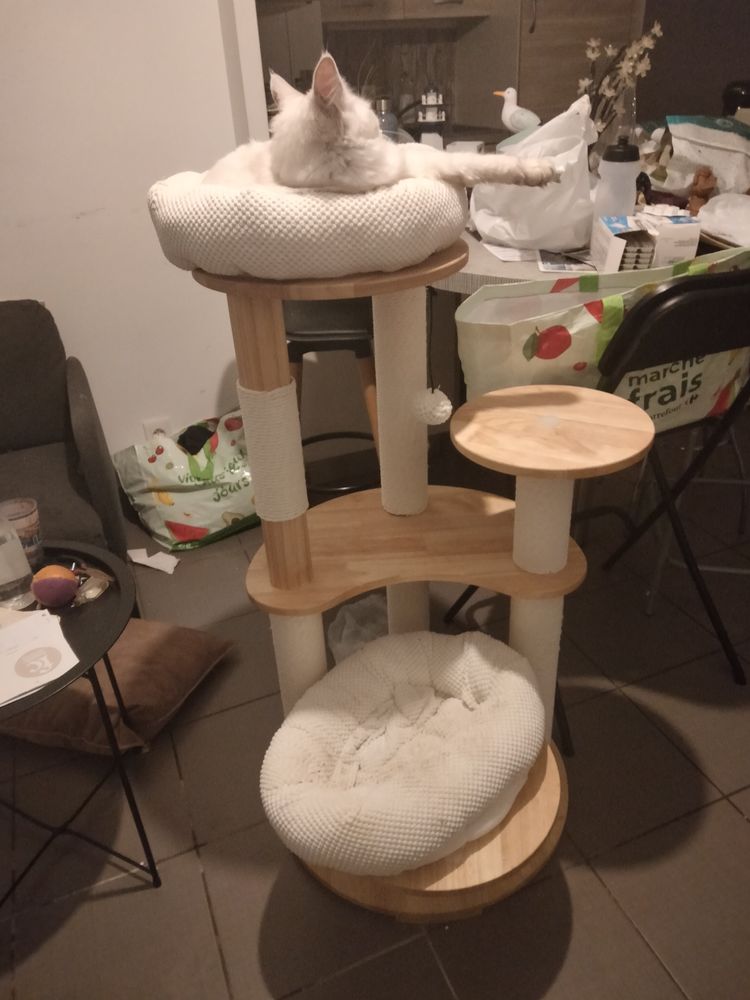 Arbre &agrave; chat 130 91100 Corbeil-essonnes