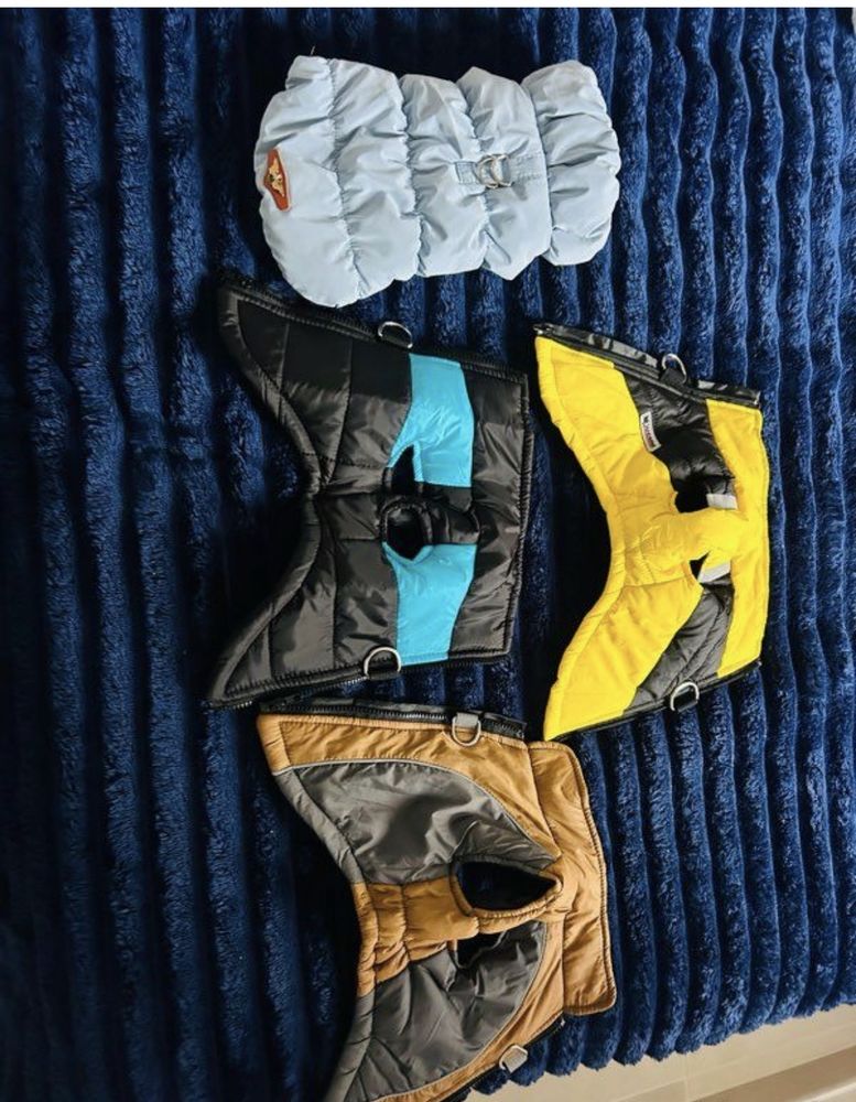 v&ecirc;tements chien 40 30000 N�mes