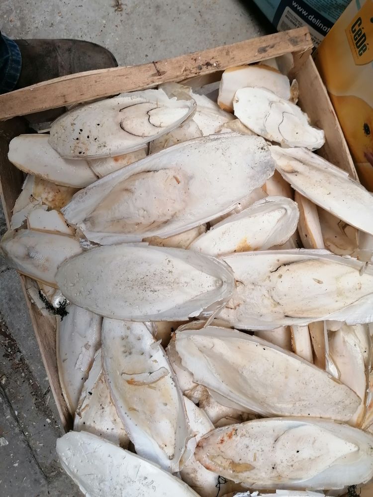 OS DE SEICHES 5 59287 Guesnain