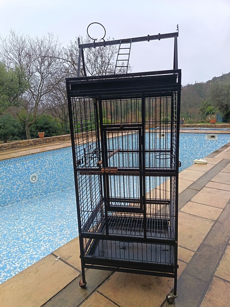 Cage perroquet. 99 30760 Saint-christol-de-rodi�res