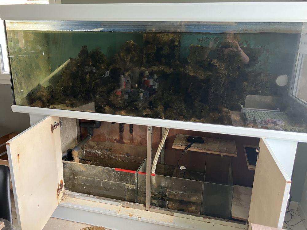 Aquarium 1000litres 500 62350 Saint-floris