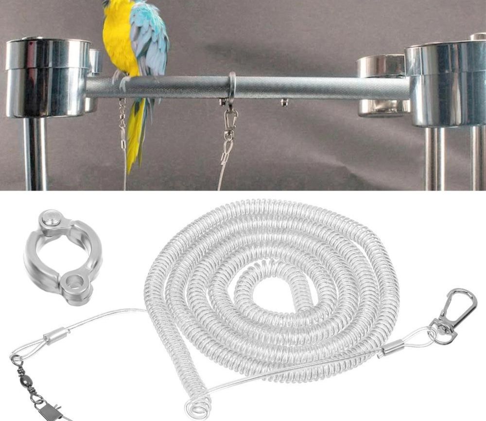 4 Harnais perruche calopsitte,autre oiseau ,anneau de patte 4 91790 Boissy-sous-saint-yon