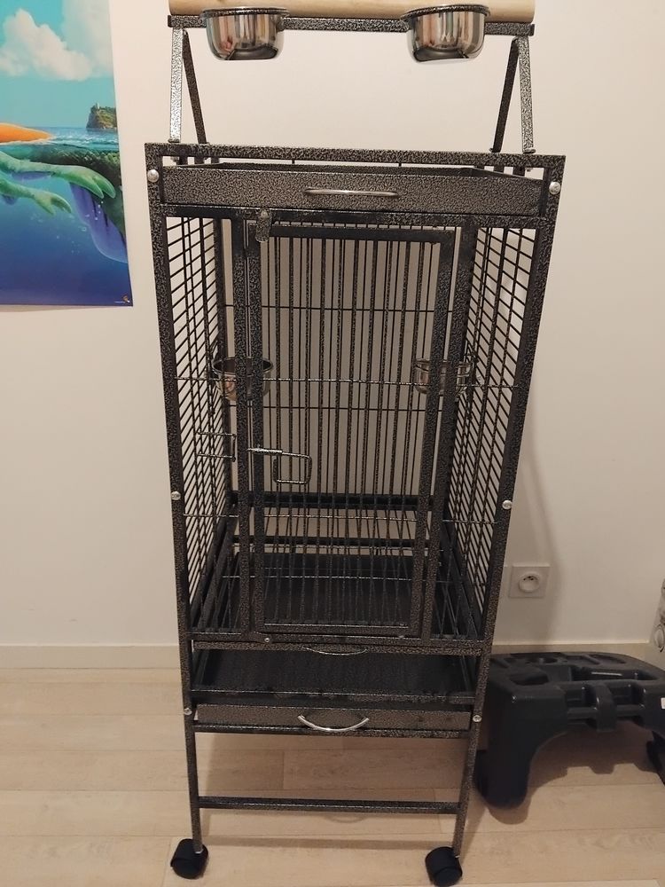 Cage oiseaux 30 44150 Ancenis