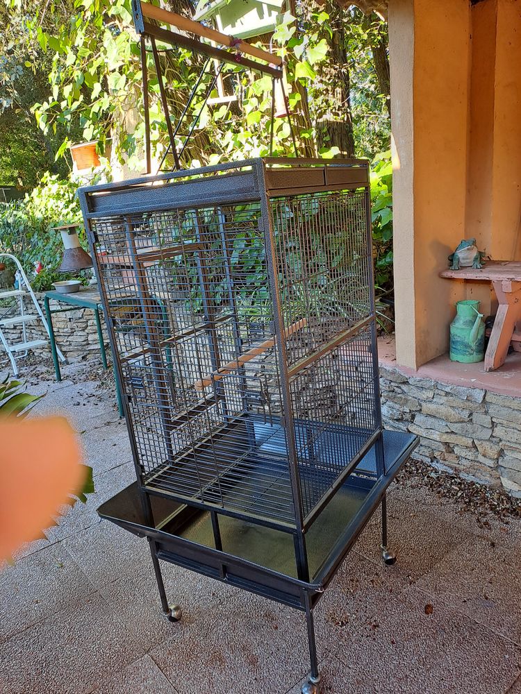 femelle rosalbin 1200 84420 Piolenc