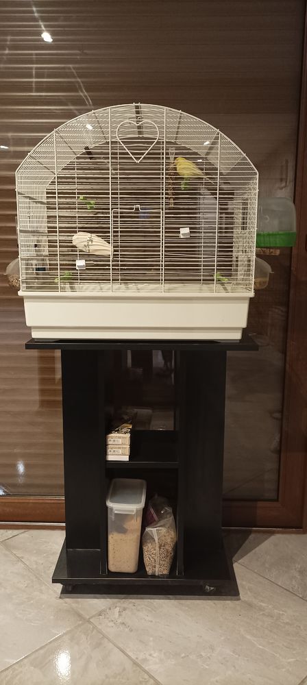 canarie + meuble 50 62138 Billy-berclau