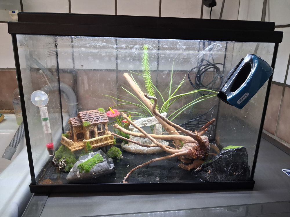 Aquarium &eacute;tat neuf complet 100 95220 Herblay